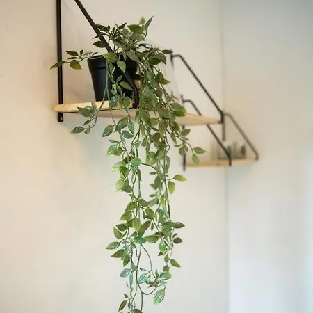 Christmas By Lapland Host Apartman Rovaniemi