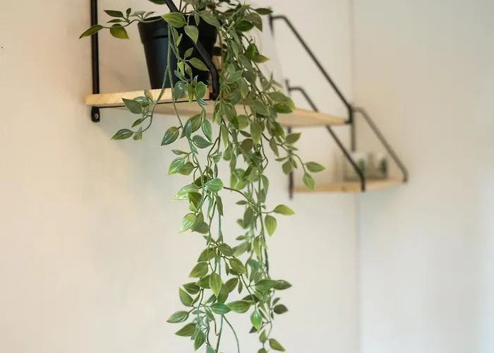 Christmas By Lapland Host Διαμέρισμα Ροβανιέμι